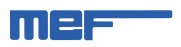 MEF Srl