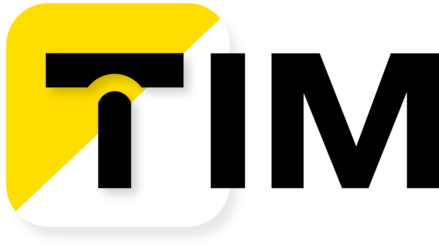 TIM SA